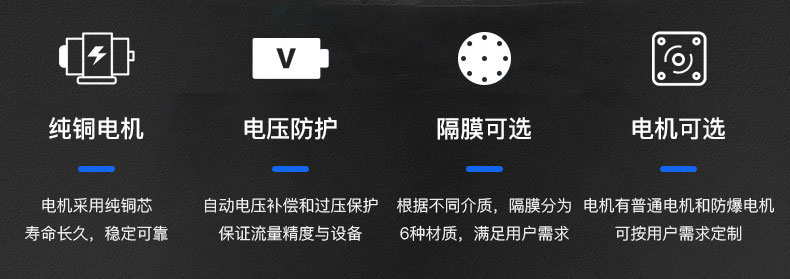 龙洋电动隔膜泵优势所在